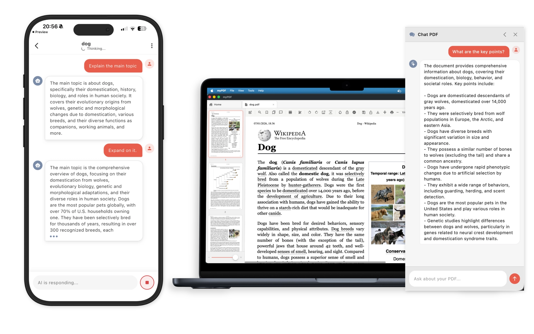 AI chat and document signing on all platforms